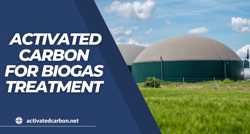 carbón activo para el tratamiento del biogás